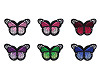 Aufbügler Schmetterling 