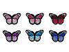 Aufbügler Schmetterling 