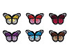 Aufbügler Schmetterling 
