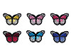 Aufbügler Schmetterling 