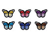 Patch thermocollant Papillon