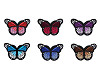 Aufbügler Schmetterling 