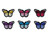 Aufbügler Schmetterling 