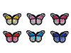Aufbügler Schmetterling 
