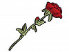 Nažehlovačka květy / růže