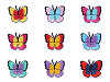 Aufbügler Schmetterling