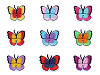 Aufbügler Schmetterling