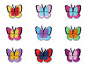 Aufbügler Schmetterling