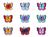 Naprasowanka motyl 