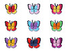 Aufbügler Schmetterling