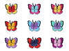 Aufbügler Schmetterling
