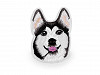 Patch thermocollant Chien