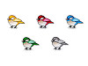 Parche termoadhesivo, pájaro