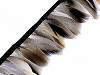 Taśma z piór - kacze pióra szerokość 7 cm