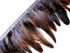 Feather Trimming - Rooster Feathers width 15 - 19 cm