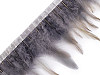 Galon - Plumes de coq, largeur 10-12 cm