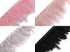 Ribete, plumas de pavo, ancho 9-12 cm
