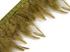 Galon - Plumes de coq, 7-12 cm