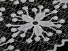 Embroidered Lace / Insert width 11 cm