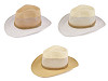 Men's summer hat / straw hat