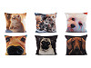 Housse de coussin en velours, Chien, Chat, 45 x 45 cm