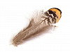 Ornamental Pheasant Feather length 4.5-8.5 cm
