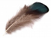 Pene decorative fazan, lungime 4,5-9 cm