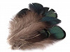 Ornamental Pheasant Feather length 4.5-9 cm