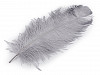 Ostrich Feathers 60 cm