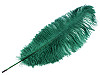 Ostrich Feathers 60 cm