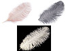 Ostrich Feathers 60 cm