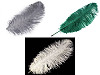 Plumas de avestruz 60 cm