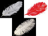 Plumes d’autruche, 60 cm