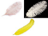 Ostrich Feathers 60 cm