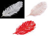 Plumes d’autruche, 60 cm