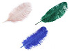 Plumes d’autruche, 60 cm