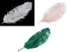 Ostrich Feathers 60 cm