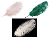 Plumas de avestruz 60 cm