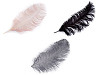 Piume di Struzzo, lunghezza: 60 cm