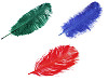 Plumes d’autruche, 60 cm