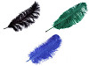 Plumes d’autruche, 60 cm
