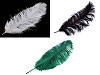 Plumes d’autruche, 60 cm
