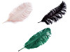 Plumes d’autruche, 60 cm