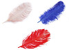 Plumes d’autruche, 60 cm