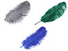 Plumes d’autruche, 60 cm