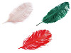 Plumas de avestruz 60 cm