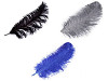Plumas de avestruz 60 cm