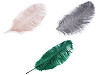 Plumes d’autruche, 60 cm