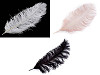 Plumes d’autruche, 60 cm