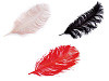 Ostrich Feathers 60 cm